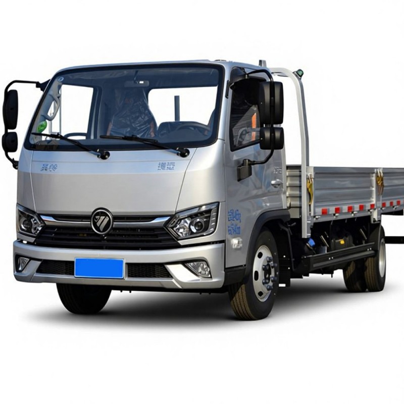 Autocarri da carico diesel FOTON 4*2 popolari di alta qualità